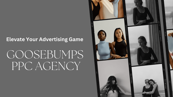 Goosebumps PPC Agency